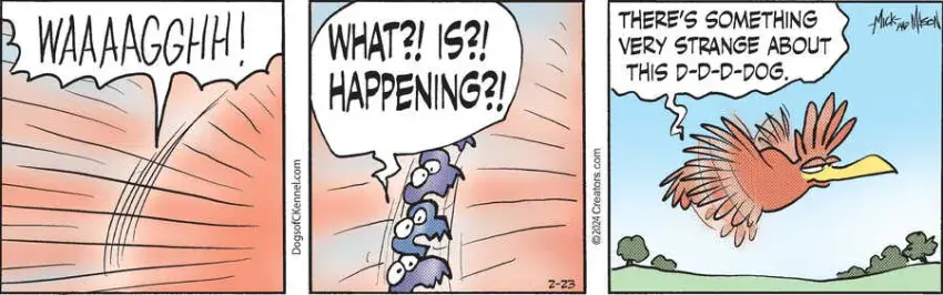 Dogs of C-Kennel for Feb 23, 2024