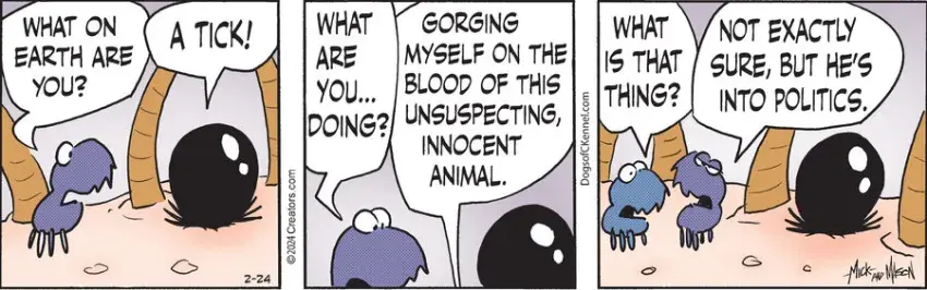 Dogs of C-Kennel for Feb 24, 2024