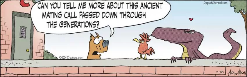 Dogs of C-Kennel for Feb 26, 2024