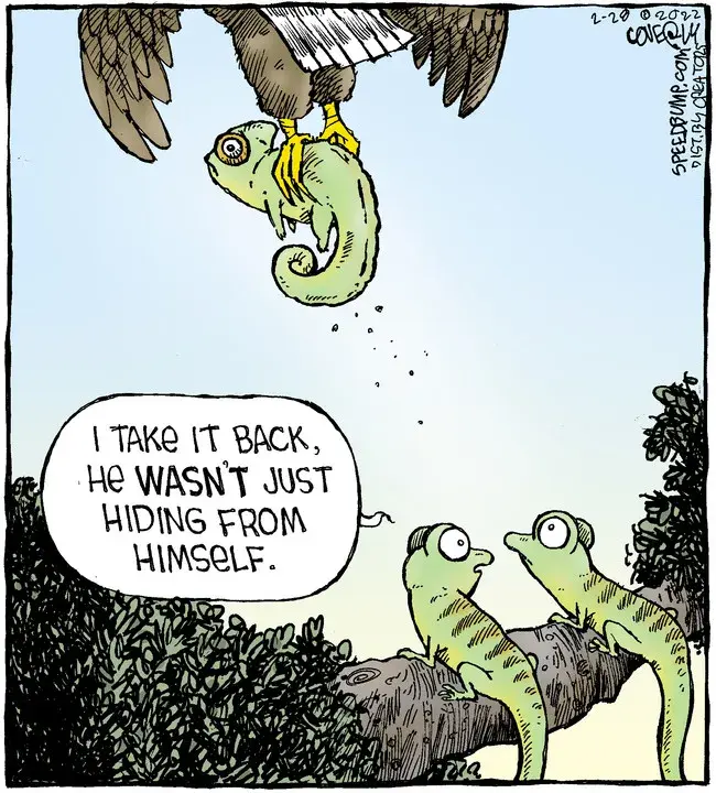 Speed Bump for Feb 28, 2022