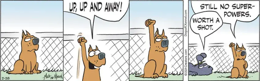 Dogs of C-Kennel for Feb 28, 2024
