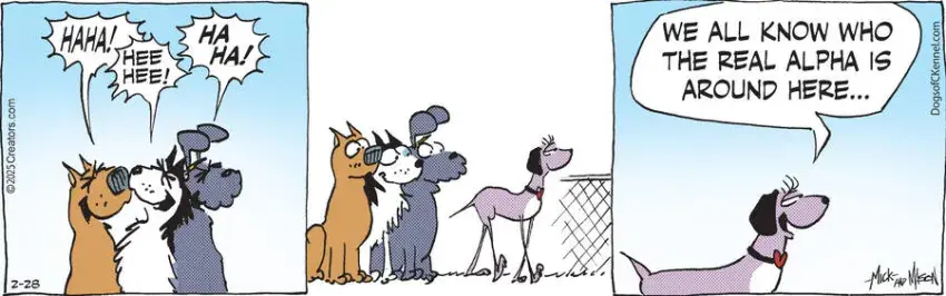 Dogs of C-Kennel for Feb 28, 2025