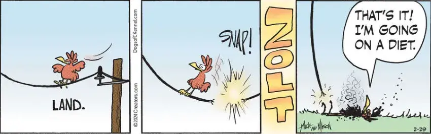 Dogs of C-Kennel for Feb 29, 2024