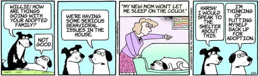 The Other Coast for Mar 01, 2025