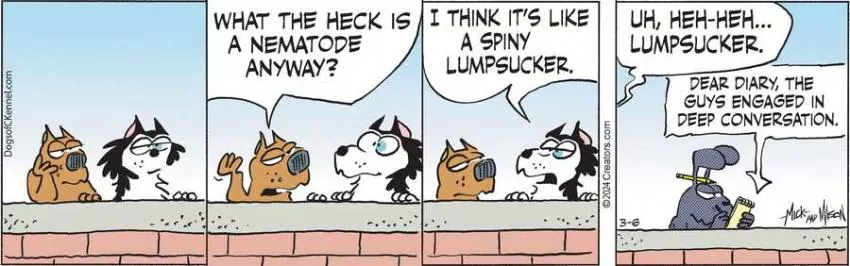 Dogs of C-Kennel for Mar 06, 2024