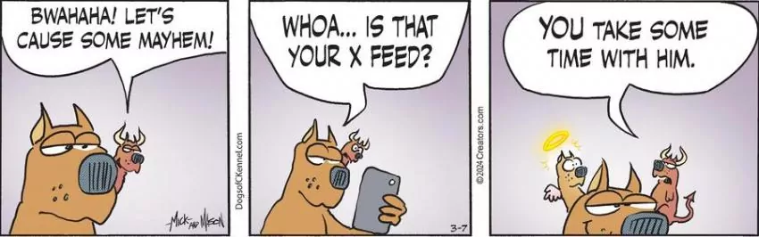 Dogs of C-Kennel for Mar 07, 2024