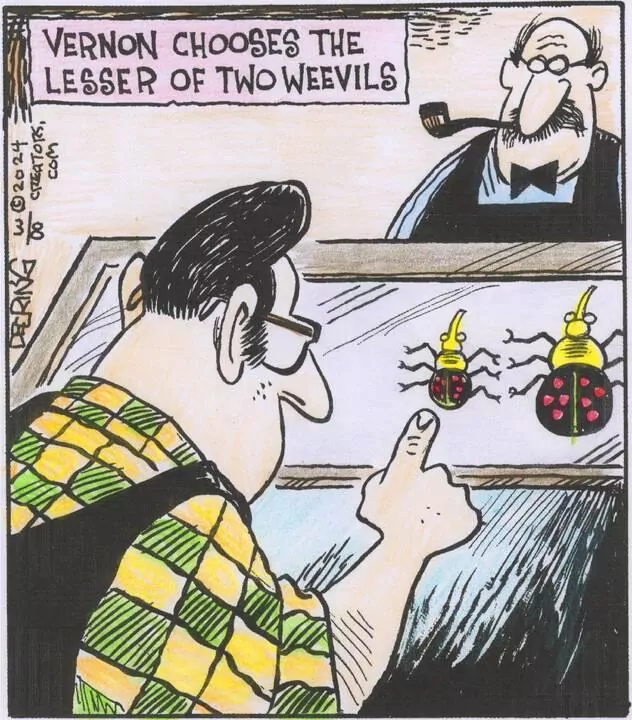 Strange Brew for Mar 08, 2024