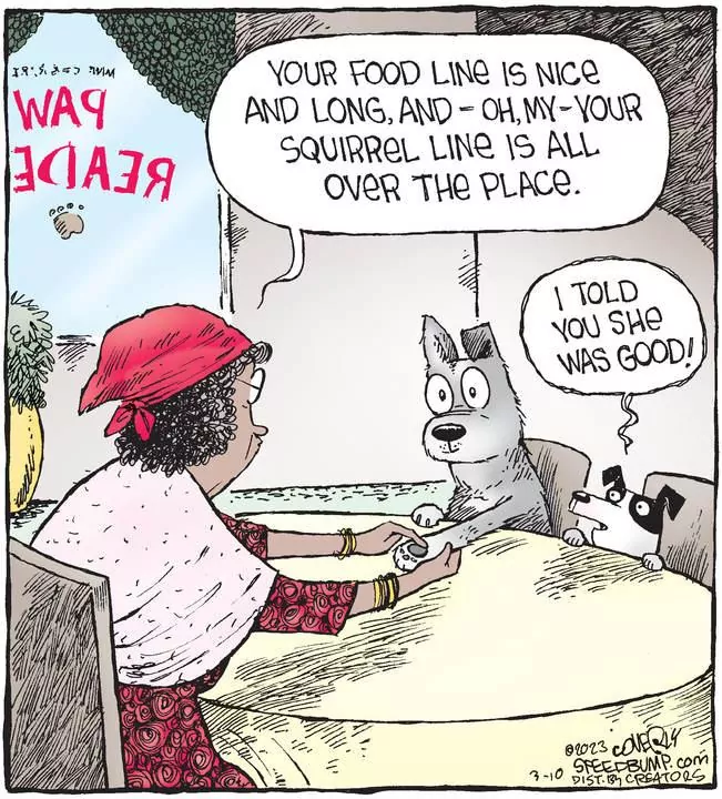 Speed Bump for Mar 10, 2023