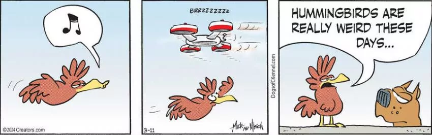 Dogs of C-Kennel for Mar 11, 2024