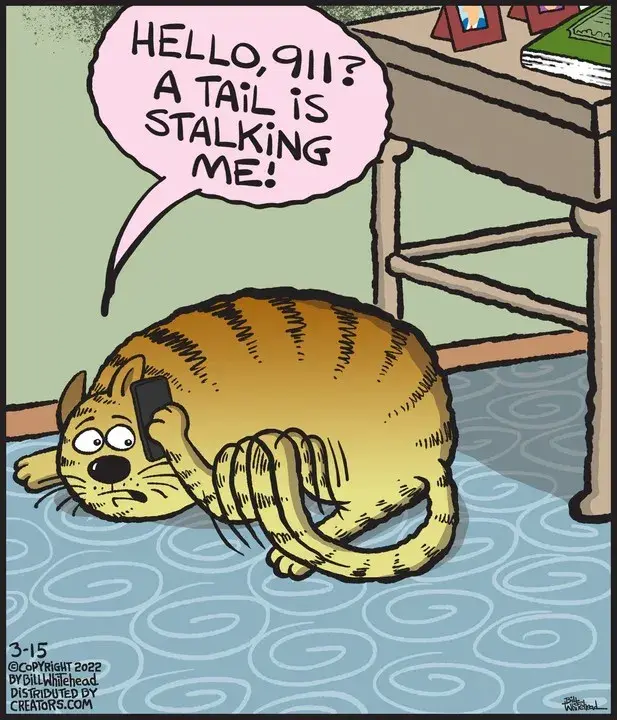 Free Range for Mar 15, 2022