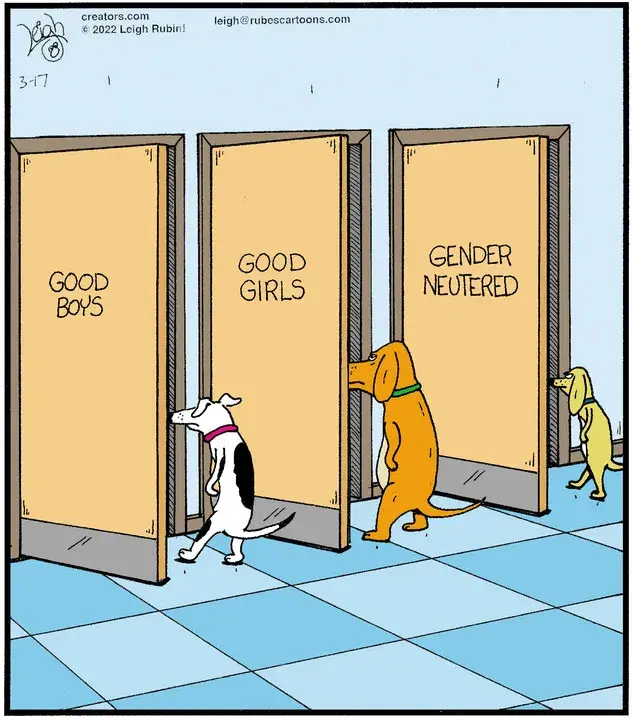 Rubes® for Mar 17, 2022