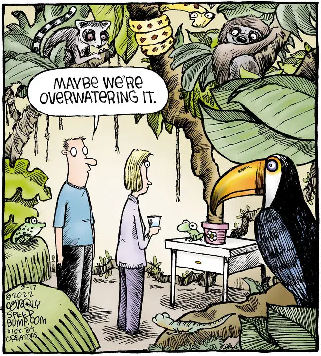 Speed Bump for Mar 17, 2022