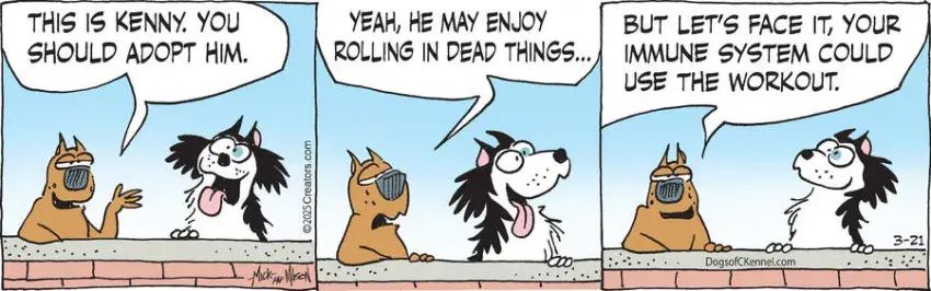 Dogs of C-Kennel for Mar 21, 2025