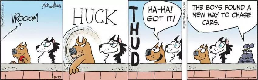 Dogs of C-Kennel for Mar 22, 2024