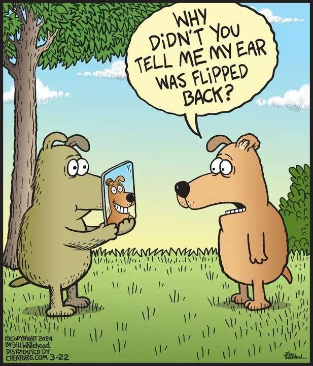 Free Range for Mar 22, 2024