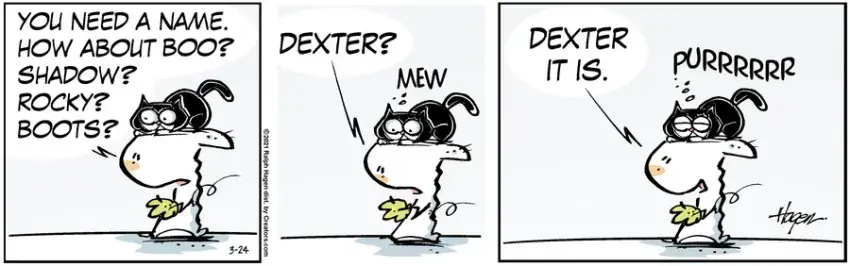 The Barn for Mar 24, 2021