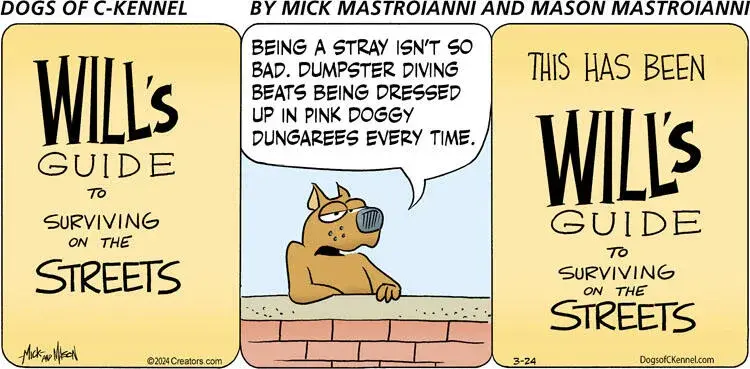 Dogs of C-Kennel for Mar 24, 2024