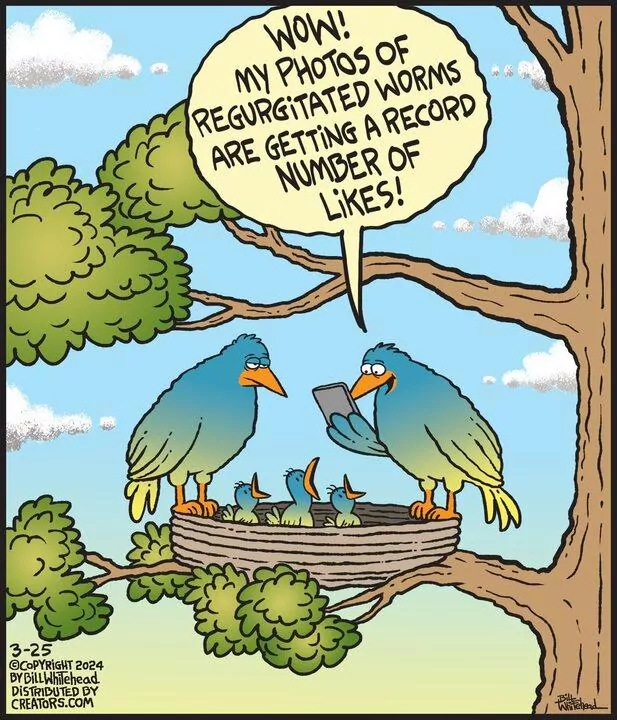 Free Range for Mar 25, 2024