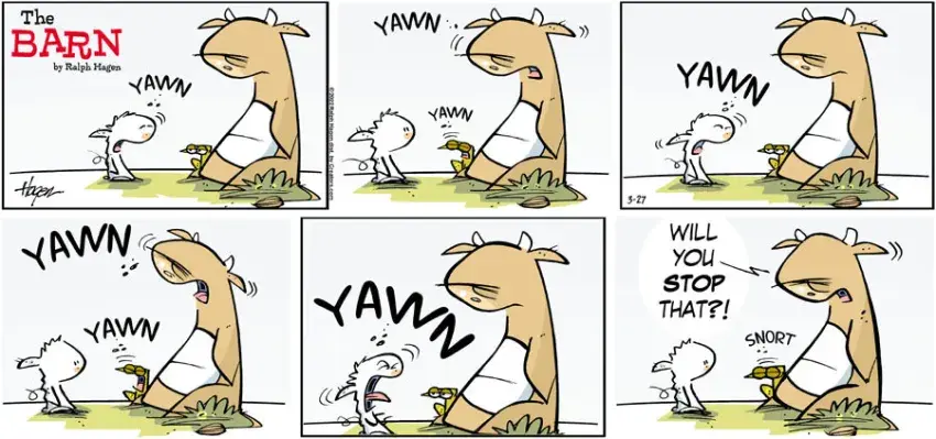 The Barn for Mar 27, 2022