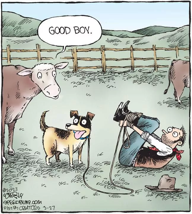 Speed Bump for Mar 27, 2023