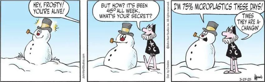 Wizard of Id for Mar 27, 2025