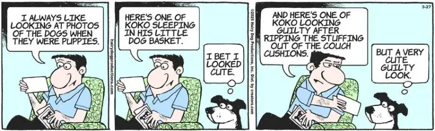 The Other Coast for Mar 27, 2025