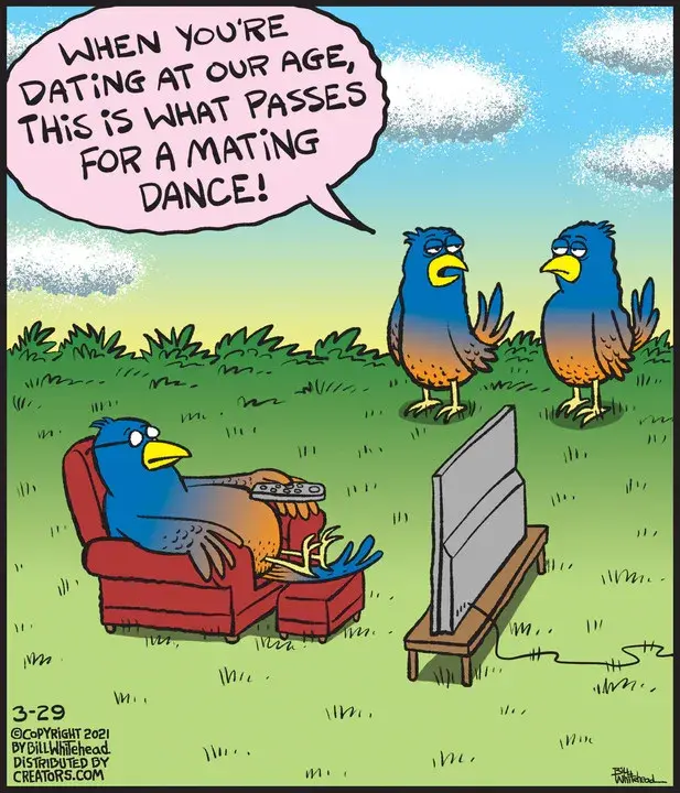 Free Range for Mar 29, 2021