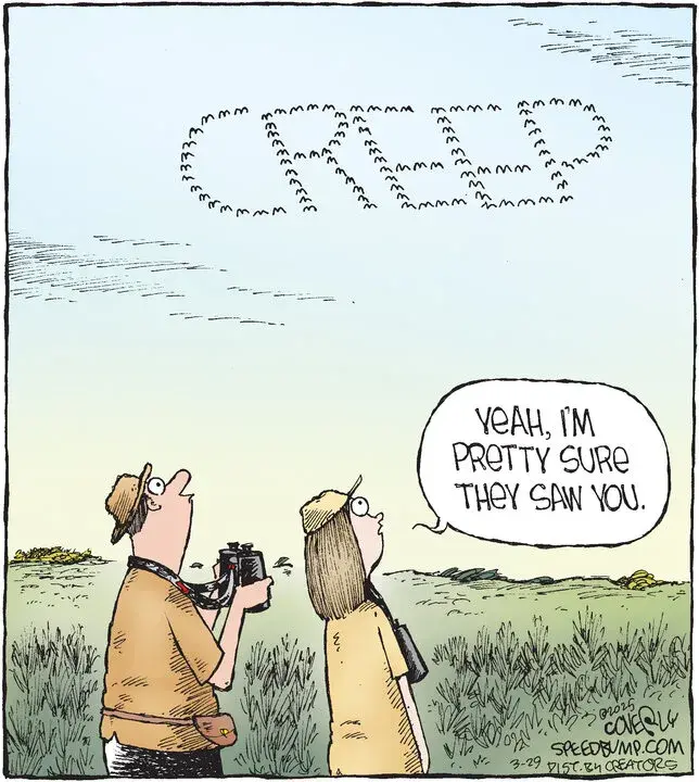 Speed Bump for Mar 29, 2025