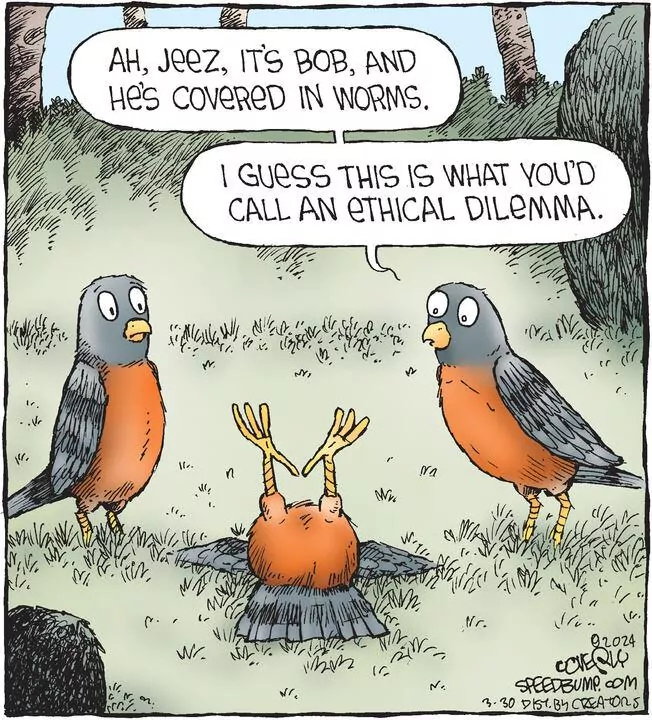 Speed Bump for Mar 30, 2024