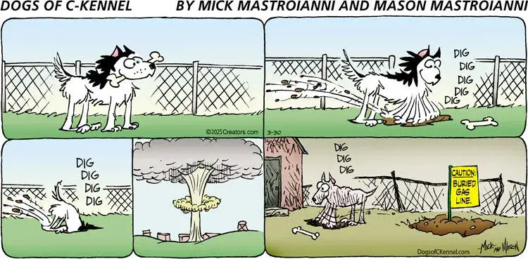 Dogs of C-Kennel for Mar 30, 2025