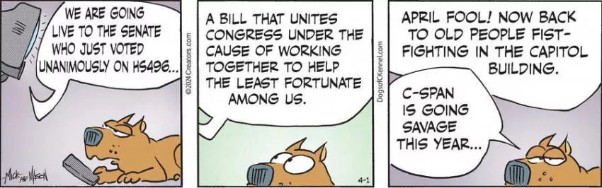 Dogs of C-Kennel for Apr 01, 2024
