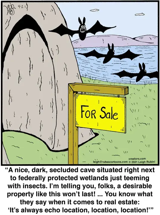 Rubes® for Apr 02, 2021