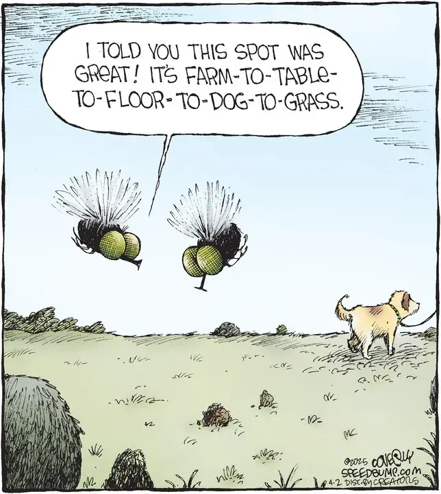 Speed Bump for Apr 02, 2025