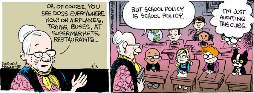 Zack Hill for Apr 03, 2024