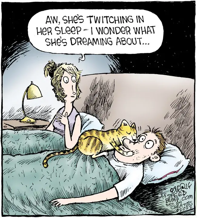 Speed Bump for Apr 05, 2022