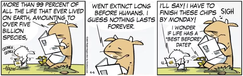 The Barn for Apr 06, 2021