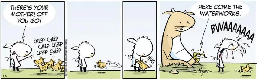 The Barn for Apr 06, 2023