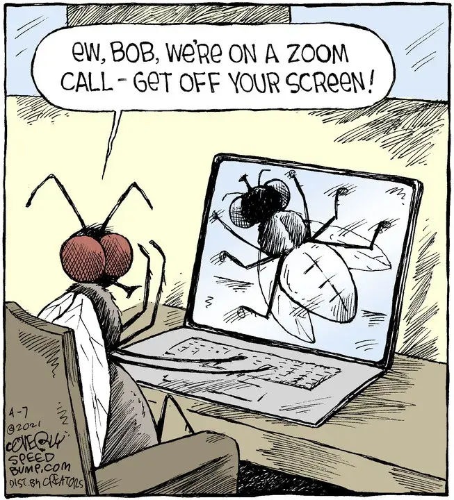 Speed Bump for Apr 07, 2021