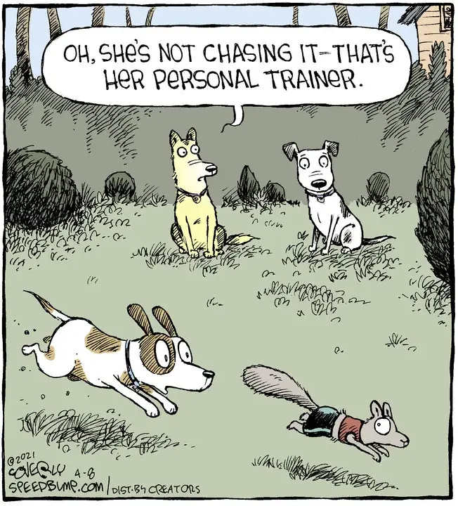 Speed Bump for Apr 08, 2021