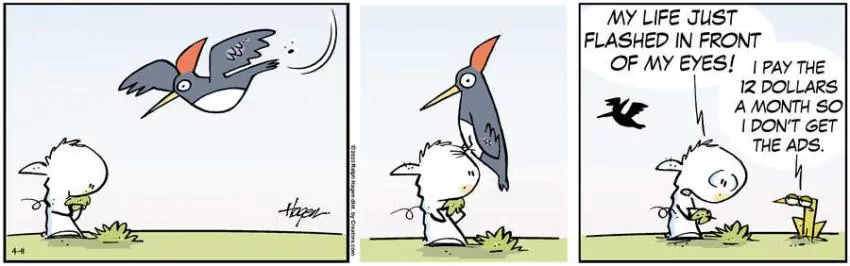 The Barn for Apr 11, 2023