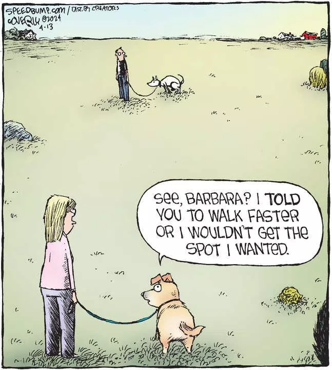 Speed Bump for Apr 13, 2024