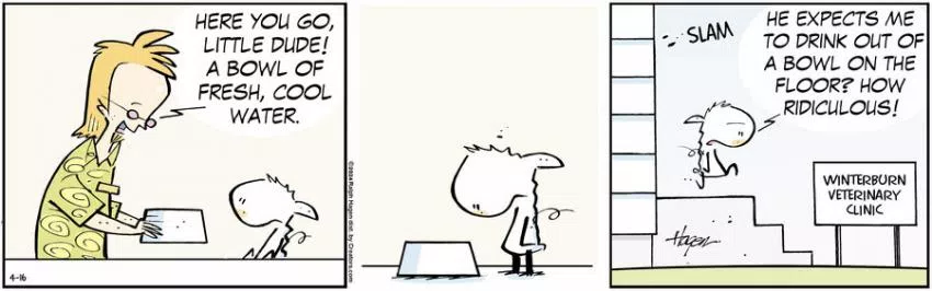 The Barn for Apr 16, 2024