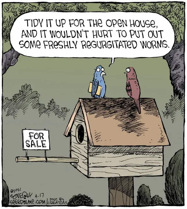 Speed Bump for Apr 17, 2021