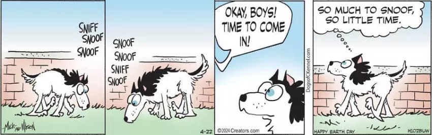 Dogs of C-Kennel for Apr 22, 2024