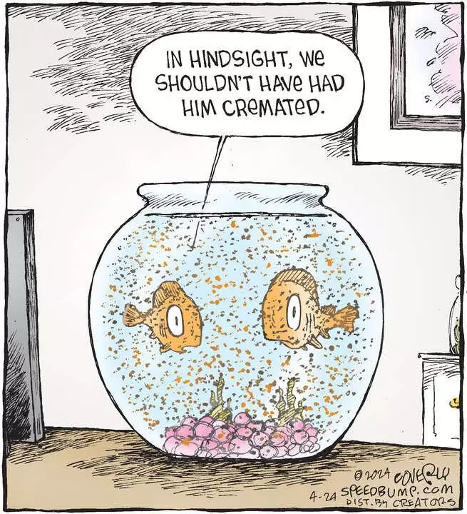 Speed Bump for Apr 24, 2024