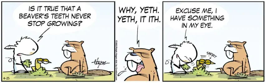 The Barn for Apr 25, 2022