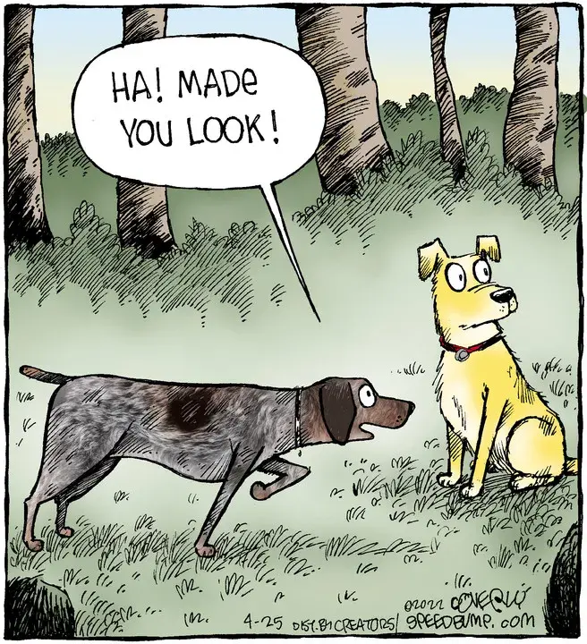 Speed Bump for Apr 25, 2022