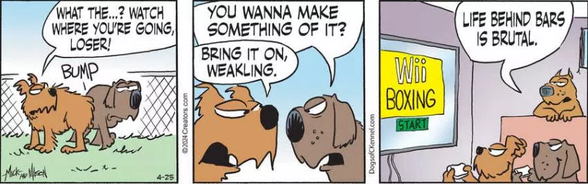 Dogs of C-Kennel for Apr 25, 2024