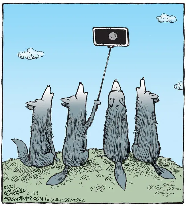 Speed Bump for Apr 29, 2021