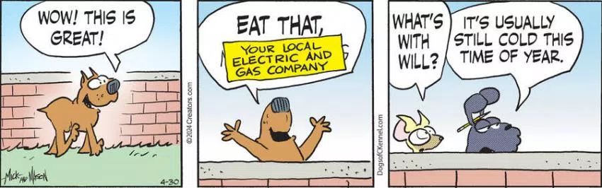 Dogs of C-Kennel for Apr 30, 2024